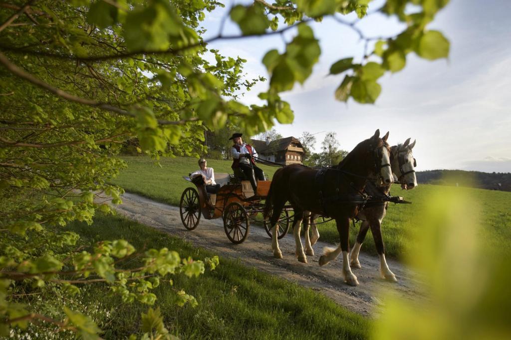Ferienhaus Troadkasten - Familie Friedrich Хартберг Экстерьер фото
